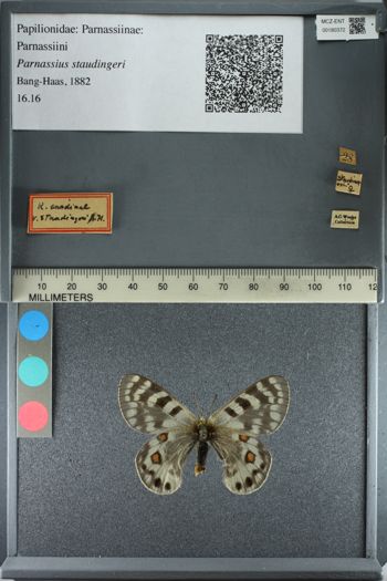 Media type: image;   Entomology 180372